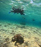 宮古島 ADVENTURE PiPi（ミヤコジマ アドベンチャー ピピ）に投稿された画像（2023/4/14）