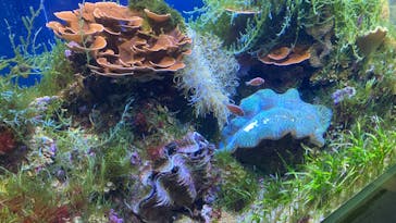 名古屋港水族館に投稿された画像（2023/4/14）