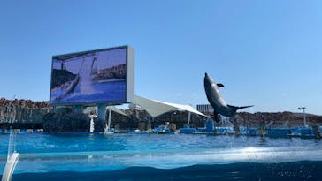 名古屋港水族館に投稿された画像（2023/4/14）