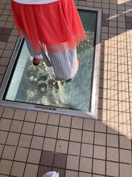 徳島県立 渦の道に投稿された画像（2023/4/14）