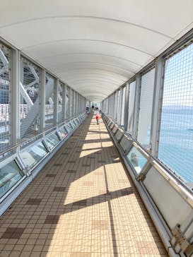 徳島県立 渦の道に投稿された画像（2023/4/14）