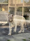 東武動物公園に投稿された画像（2023/4/14）
