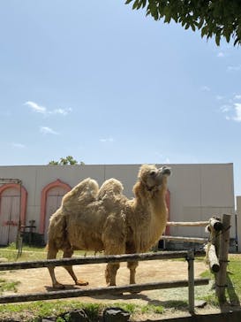 東武動物公園に投稿された画像（2023/4/14）