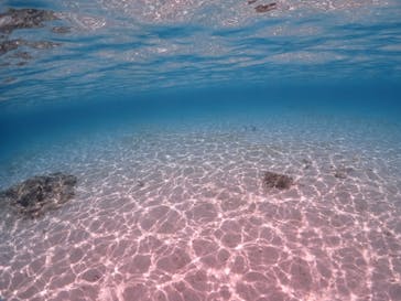 ちゃこたびに投稿された画像（2023/4/14）