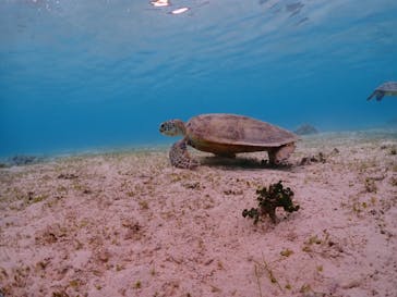 ちゃこたびに投稿された画像（2023/4/14）