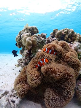 ちゃこたびに投稿された画像（2023/4/14）