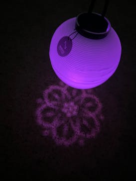 NAKED 桜の新宿御苑 2023に投稿された画像（2023/4/14）