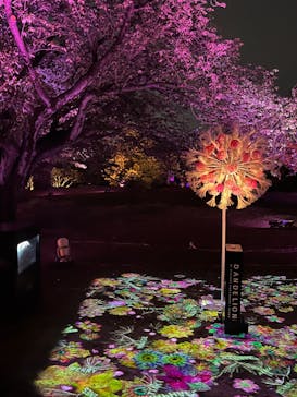 NAKED 桜の新宿御苑 2023に投稿された画像（2023/4/14）