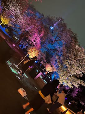 NAKED 桜の新宿御苑 2023に投稿された画像（2023/4/14）