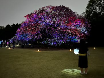 NAKED 桜の新宿御苑 2023に投稿された画像（2023/4/14）