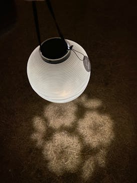 NAKED 桜の新宿御苑 2023に投稿された画像（2023/4/14）