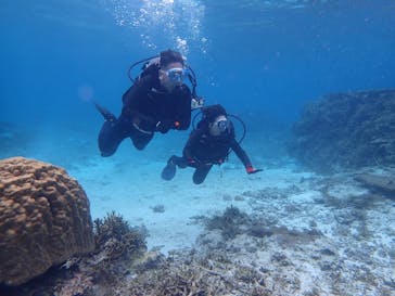 marine assist DEMI（マリンアシストデミ）に投稿された画像（2023/4/14）