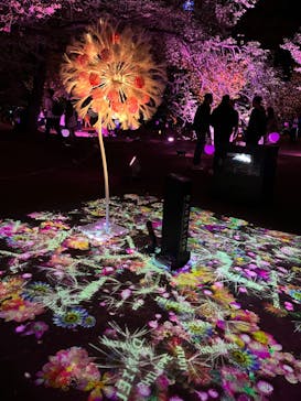 NAKED 桜の新宿御苑 2023に投稿された画像（2023/4/14）