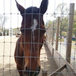 伊香保グリーン牧場に投稿された画像（2023/4/15）