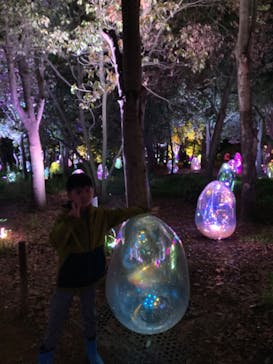 チームラボ ボタニカルガーデン 大阪に投稿された画像（2023/4/14）