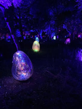 チームラボ ボタニカルガーデン 大阪に投稿された画像（2023/4/14）