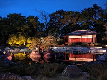 『NAKED FLOWERS 2023 桜 世界遺産・二条城』に投稿された画像（2023/4/14）