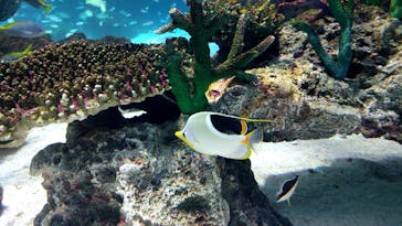 サンシャイン水族館に投稿された画像（2023/4/14）