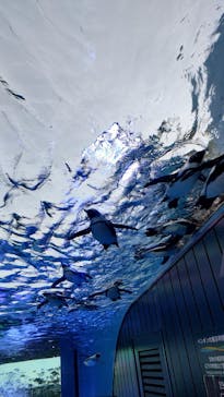 サンシャイン水族館に投稿された画像（2023/4/14）