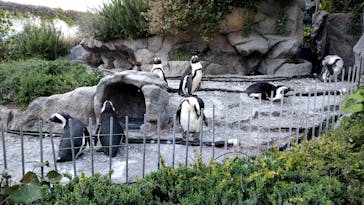 サンシャイン水族館に投稿された画像（2023/4/14）