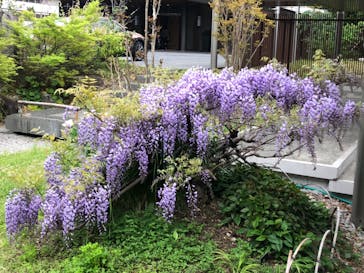 神戸みなと温泉 蓮に投稿された画像（2023/4/14）