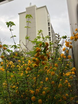 神戸みなと温泉 蓮に投稿された画像（2023/4/14）