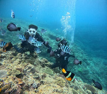 青の洞窟専門店　沖縄ダイビングショップ和に投稿された画像（2023/4/14）