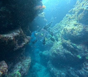 青の洞窟専門店　沖縄ダイビングショップ和に投稿された画像（2023/4/14）