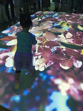 ゴッホ・アライブ神戸に投稿された画像（2023/4/14）