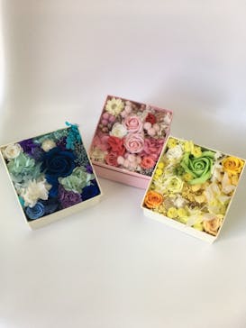 ずこうしつ〜sugamo〜に投稿された画像（2023/4/15）