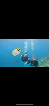 武藤潜水に投稿された画像（2023/4/15）