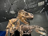 特別展「恐竜博2023」に投稿された画像（2023/4/15）
