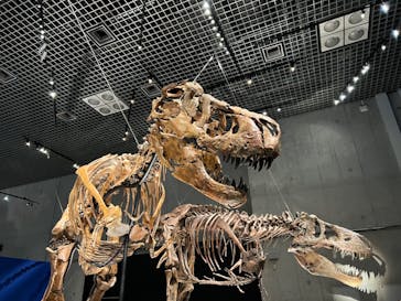 特別展「恐竜博2023」に投稿された画像（2023/4/15）