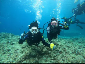 武藤潜水に投稿された画像（2023/4/15）