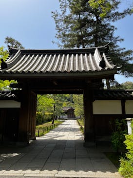 三溪園に投稿された画像（2023/4/15）