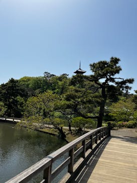 三溪園に投稿された画像（2023/4/15）