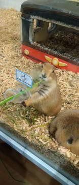 アニタッチみなとみらいに投稿された画像（2023/4/15）