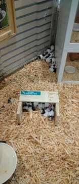 アニタッチみなとみらいに投稿された画像（2023/4/15）