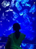名古屋港水族館に投稿された画像（2023/4/15）