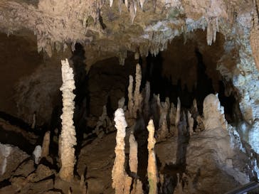 石垣島鍾乳洞に投稿された画像（2023/4/15）