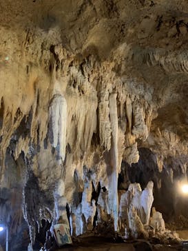 石垣島鍾乳洞に投稿された画像（2023/4/15）