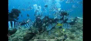 武藤潜水に投稿された画像（2023/4/15）