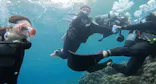 武藤潜水に投稿された画像（2023/4/15）