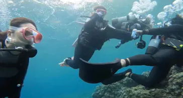 武藤潜水に投稿された画像（2023/4/15）