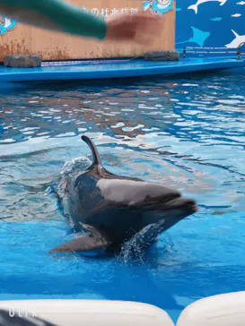 仙台うみの杜水族館に投稿された画像（2023/4/15）