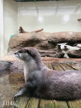 仙台うみの杜水族館に投稿された画像（2023/4/15）