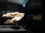 特別展「恐竜博2023」に投稿された画像（2023/4/15）