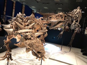 特別展「恐竜博2023」に投稿された画像（2023/4/15）
