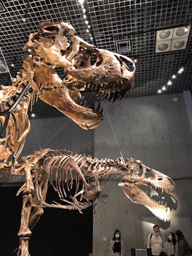 特別展「恐竜博2023」に投稿された画像（2023/4/15）