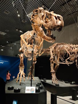 特別展「恐竜博2023」に投稿された画像（2023/4/15）